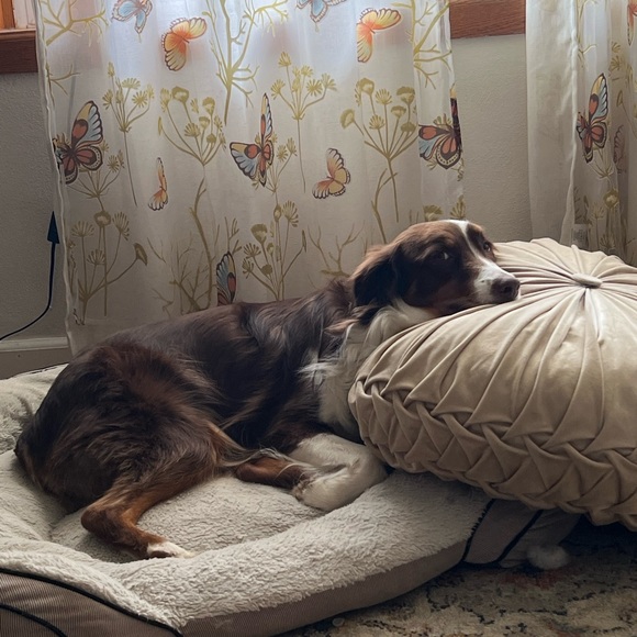 Meet your Posher, Lizz - Picture 5 of 6